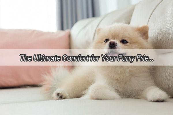 The Ultimate Comfort for Your Furry Friend Can a Balloon Pillow Be the Answer to Your Dogs Sleep Issues